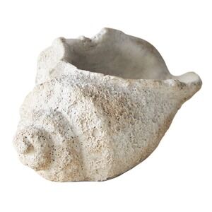 Anthropologie Seascape Cement Shell Vessel Planter Rustic Hand Painted NEW